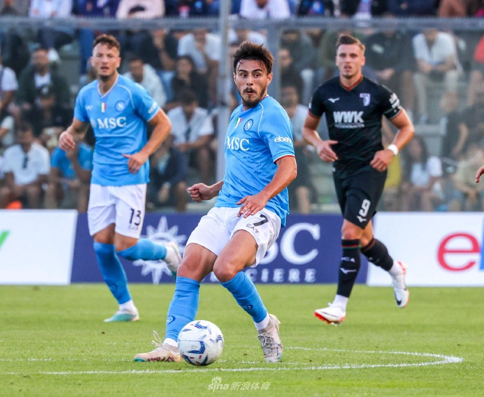 他们引进了 他们引进了